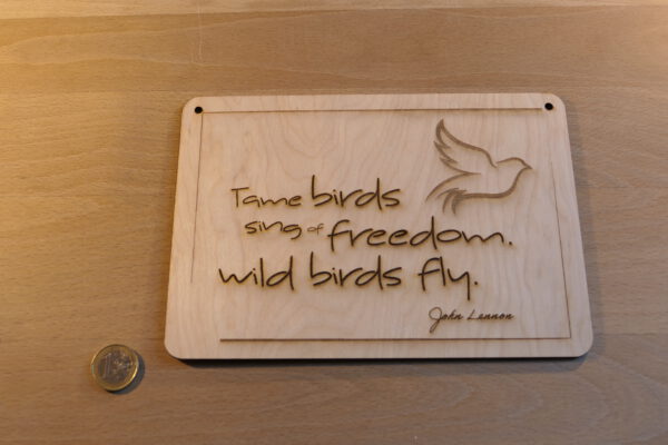 Schild "Wild Birds"